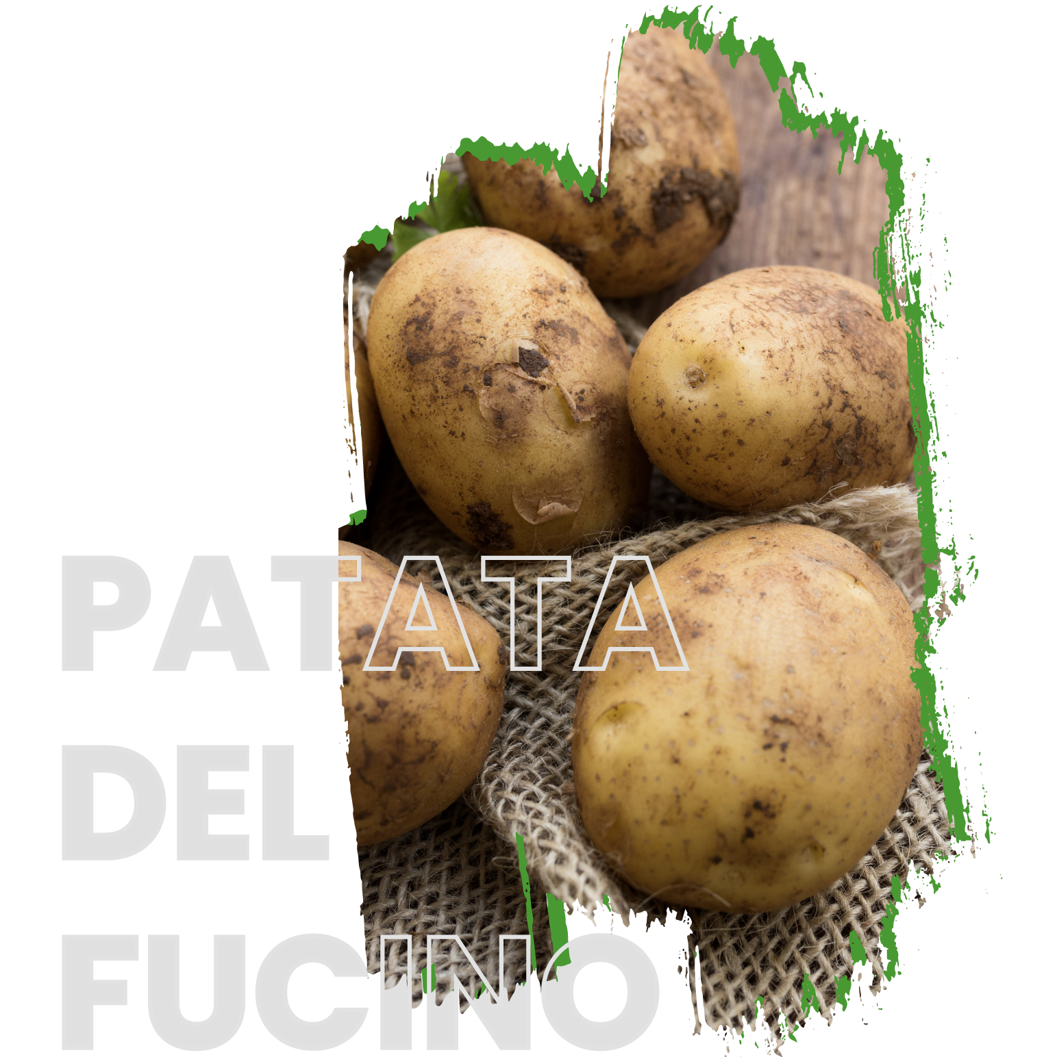 Prod_Tavola disegno 1